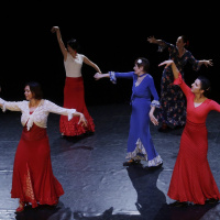 Flamenco pro začátečníky