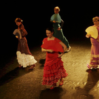 Flamenco pro mírně a středně pokročilé - Guajira s vějířem